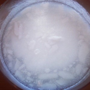 curd in water